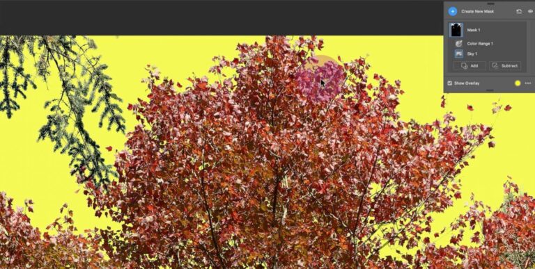 New masking feature in adobe camera raw helps refine masks